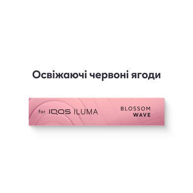 Стіки TEREA Blossom Wave